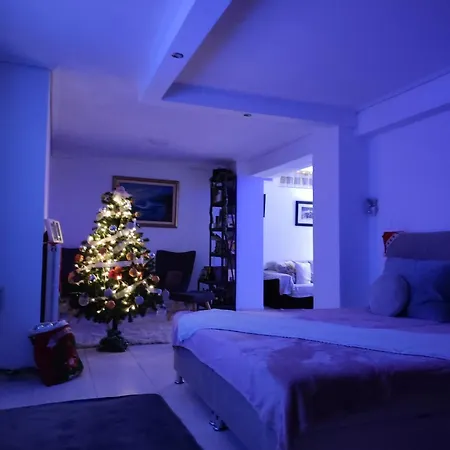 公寓 Basement 特里卡拉